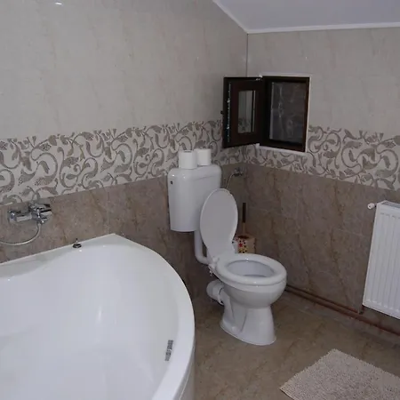 Vila Tadi Avrig Exterior photo